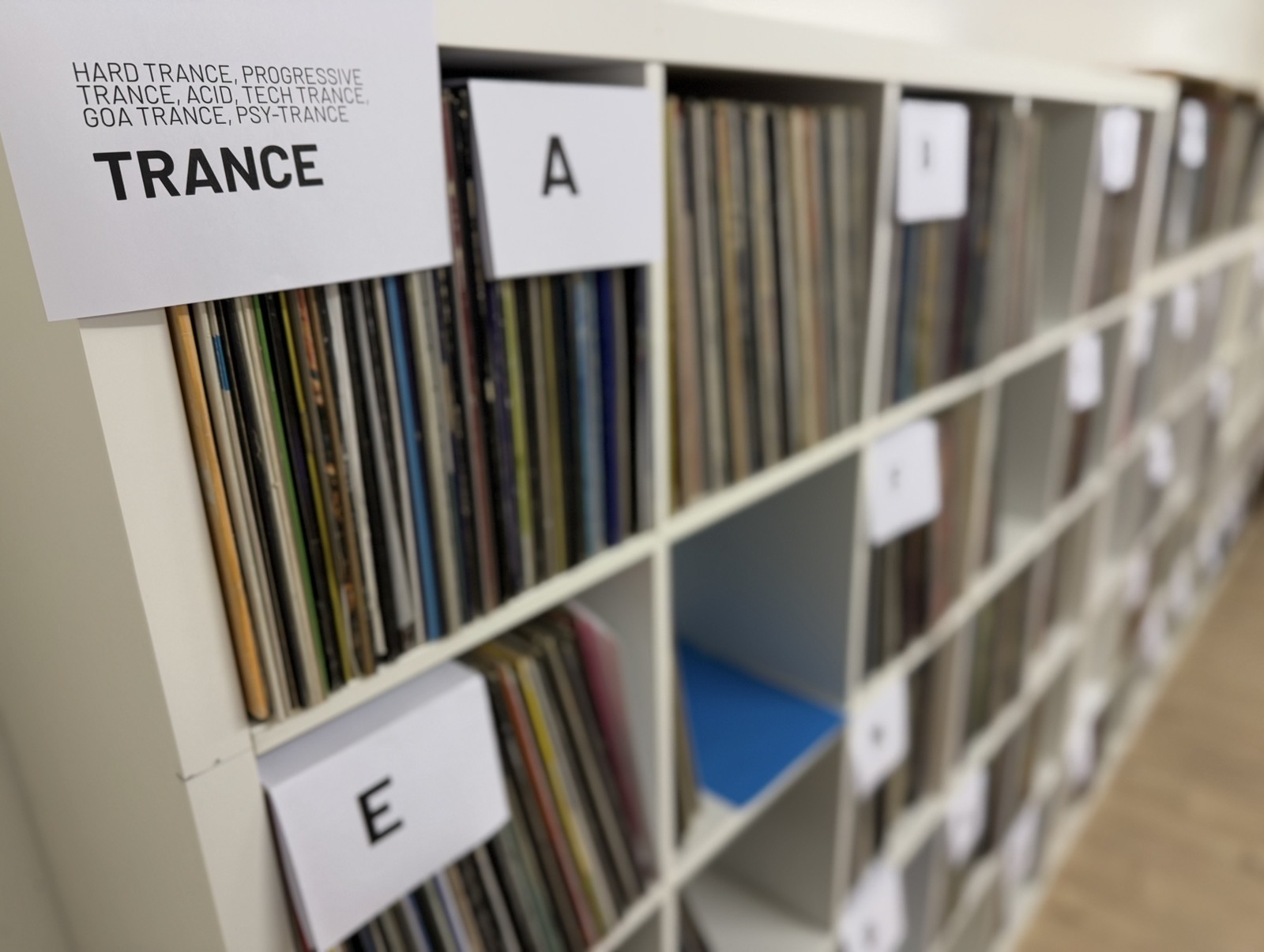 Shelves with vinyls sorted by style families